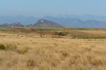 savane d'afrique et grand espace