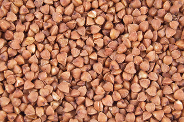 Buckwheat close-up 