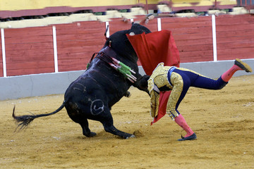 CDTORO63