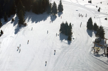 skiers