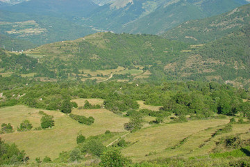 Fototapeta na wymiar Hayfield, wysoka dolina Aude Pireneje