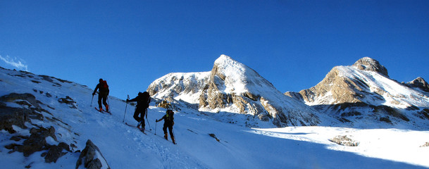 dans l'ombre du matin