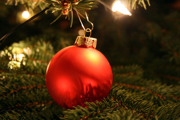 Weihnachtsbaum