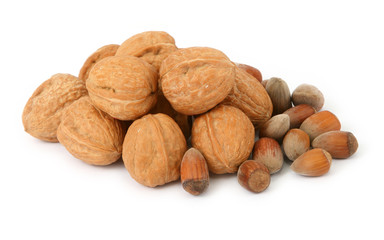 group of walnuts and hazelnuts against white background, 