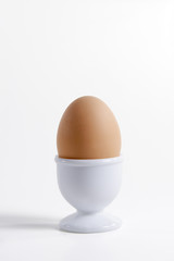 Brown egg in a cap on a white background