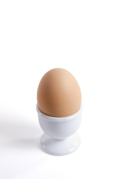 Brown egg in a cap on a white background