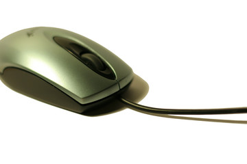 computer mouse