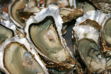 huitres