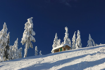 mt. seymour ski resort with fresh snow