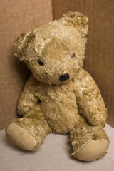 an old and shabby teddy bear in a cardboard box corner