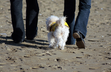 passeggiata in spiaggia