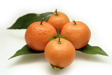 mandarins with leafs
