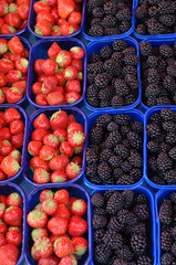 Erdbeeren und Brombeeren