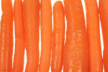 the fresh vertical situated carrots background