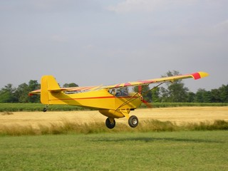 Fototapeta na wymiar Avion jaune