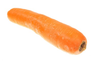 single carrot isolated on white background