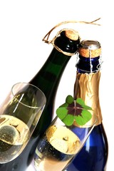 Sekt - Glücksklee