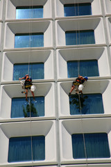 Fensterputzer bei der Arbeit in luftiger Höhe