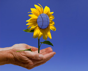 Solarblume Hand
