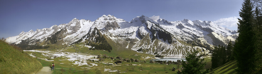 PANO CONFINS