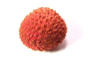 Litchi