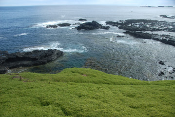 Phillip Island of Victroria coast showing green grass