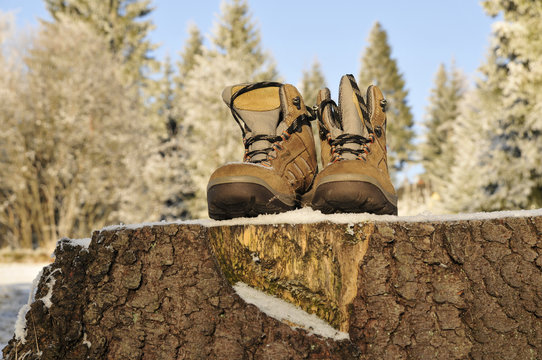 Wanderschuhe auf Baumstamm