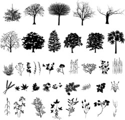 Trees, plants and flower, black silhouette