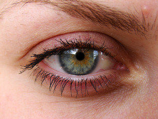 Fototapeta premium eye 