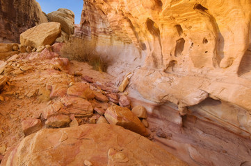 Landscape Valley of Fire
