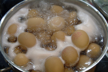 oeufs en cuisson