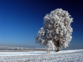 Winterzauber