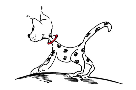 Katzenhund