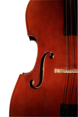 Contrabass-orchestral a musical instrument.