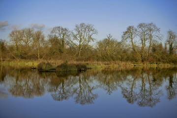 Fototapeta na wymiar Rzeka Avon warwick warwickshire england uk.