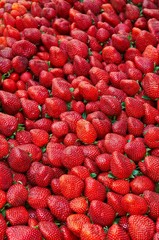 Etal de fraises au marché (Market Stall : Strawberry) © Mickaël Berteloot