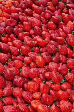 Etal de fraises au march&eacute; (Market Stall : Strawberry)