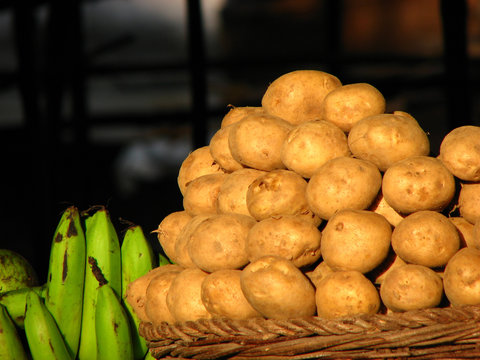 Potato Pile