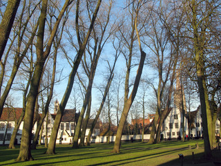 Fototapeta na wymiar Beginenhof mit kahlen Bäumen