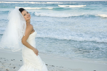 Fototapeta na wymiar Caribbean Beach Wedding