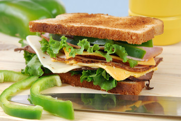 A toasted sandwich with cold cuts and cheese