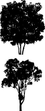 Tree Silhouettes h