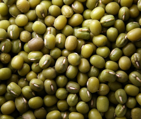 Mung beans