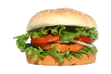 Salmon Burger