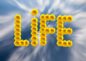 Obraz premium Sunflowers depicting the word life.
