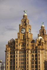Fototapeta premium Liverpool Liver building
