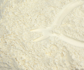 Imprint on the flour- pliers
