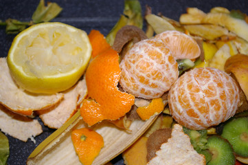 Epluchures fruits(2)