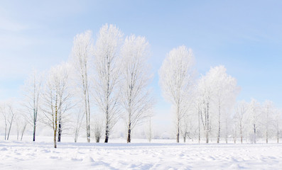 Fototapeta na wymiar Zimowe krajobrazy