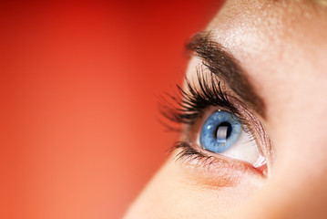 Obraz premium Niebieskie oko na czerwonym tle (płytka głębia ostrości)